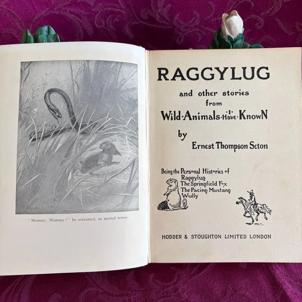 Ca 1925 Raggylug and Other Stories from Wild Animals I Have Known by E. T. Seton
